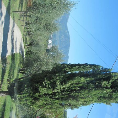 Valle Degli Ulivi Appartamento Terni Buitenkant foto