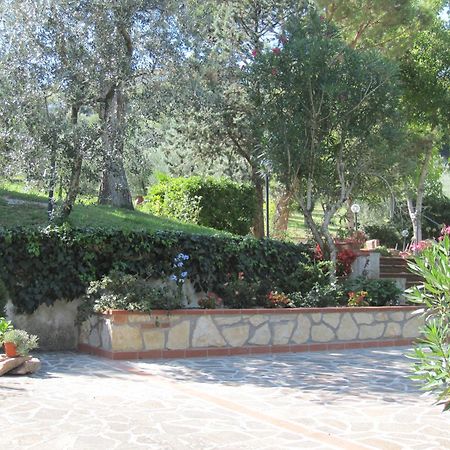 Valle Degli Ulivi Appartamento Terni Buitenkant foto