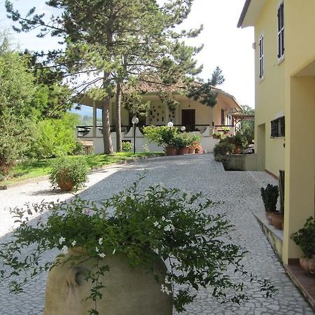 Valle Degli Ulivi Appartamento Terni Buitenkant foto