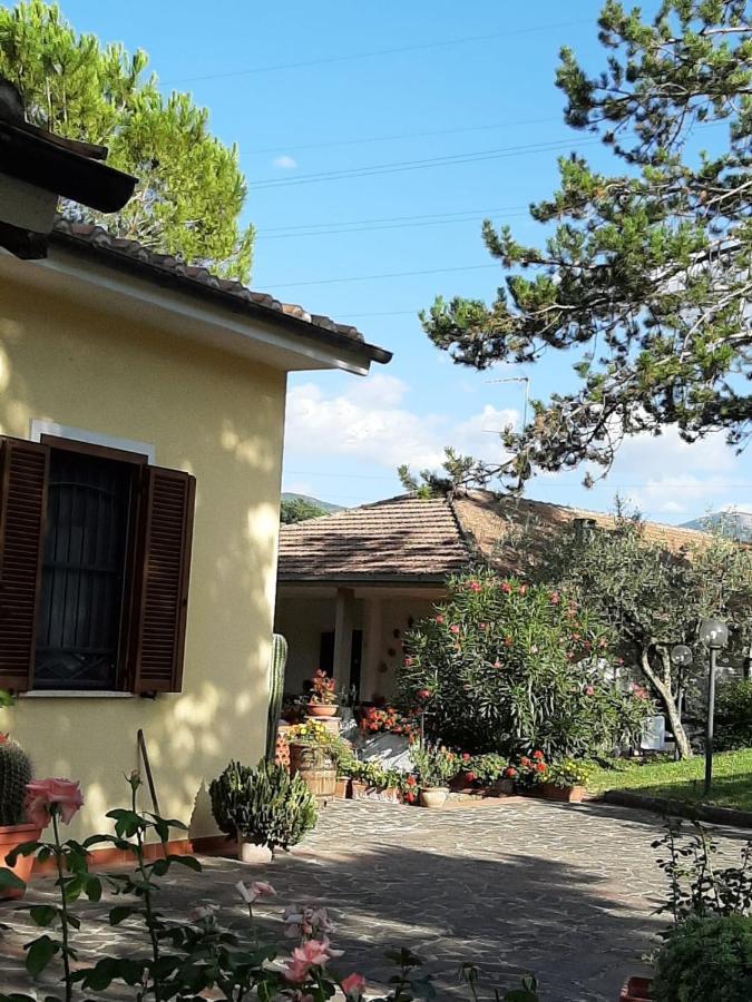 Valle Degli Ulivi Appartamento Terni Buitenkant foto