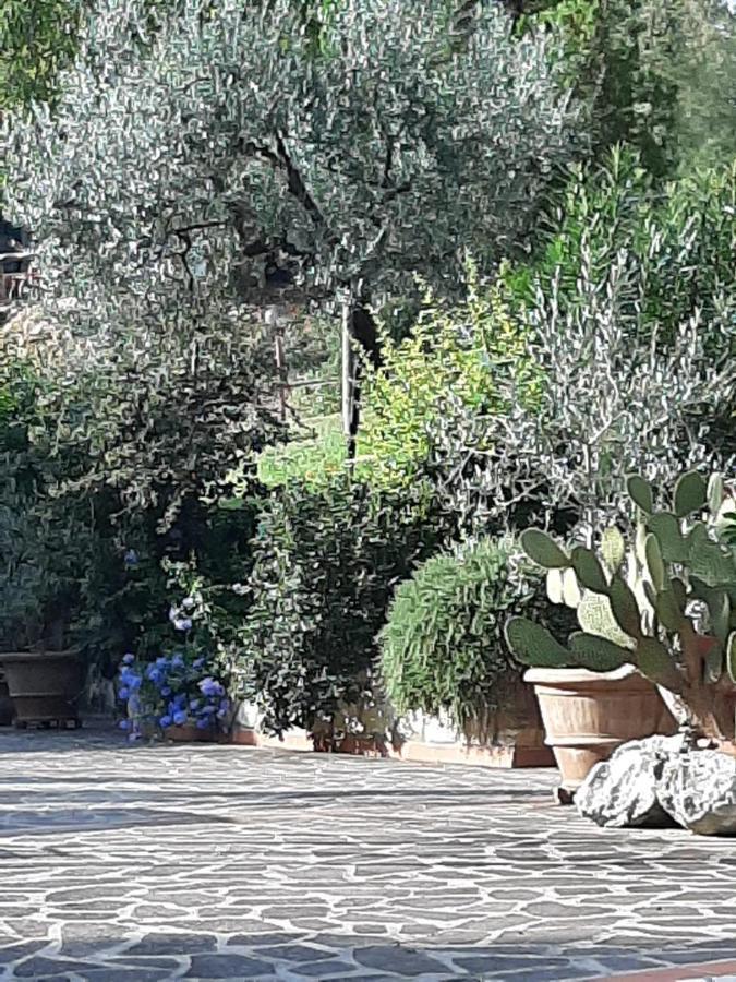 Valle Degli Ulivi Appartamento Terni Buitenkant foto
