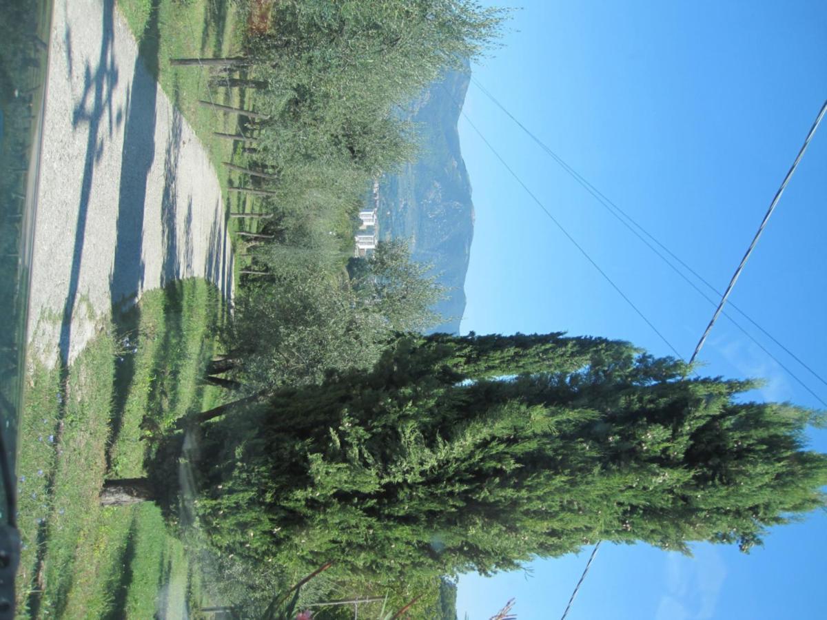 Valle Degli Ulivi Appartamento Terni Buitenkant foto