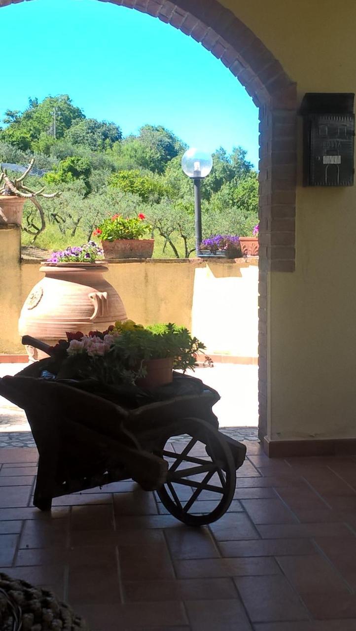 Valle Degli Ulivi Appartamento Terni Buitenkant foto