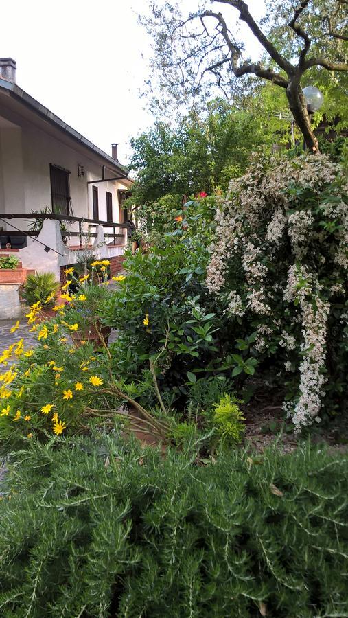Valle Degli Ulivi Appartamento Terni Buitenkant foto